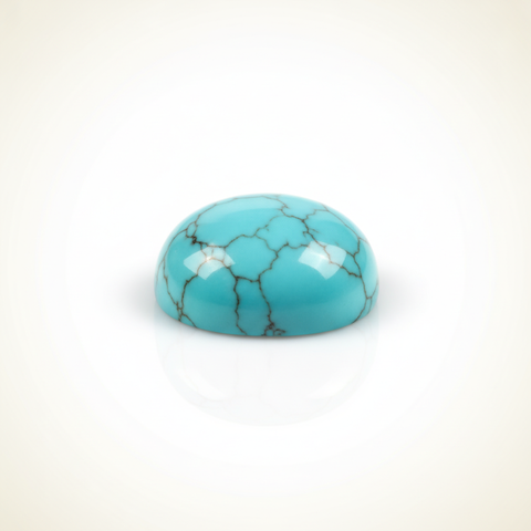 Turquoise · Nofech